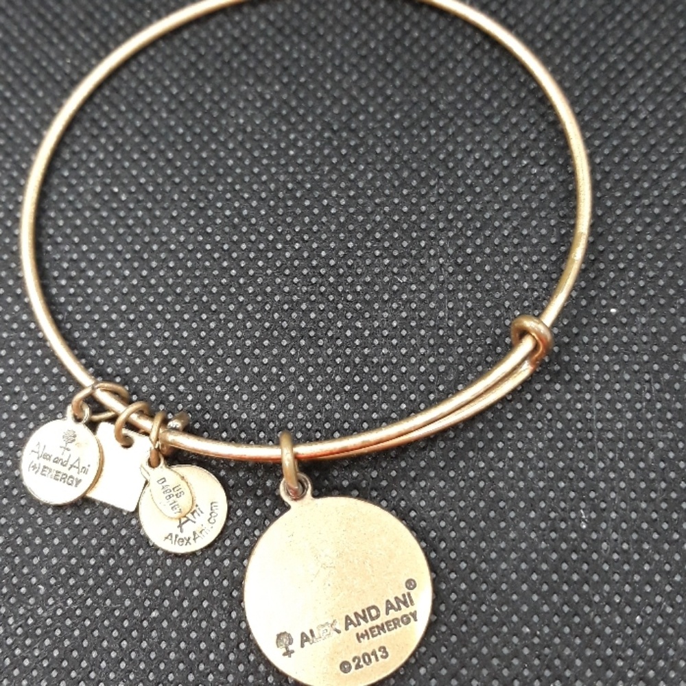 Anex and ani ,Bracelet .energy 2013.